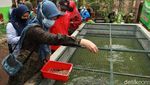 Mengenal Kang Pisman, Program Pengelolaan Sampah di Bandung