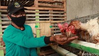 Pasalnya, sampah organik yang diolah warga dapat menjadi makanan maggot, sementara maggot tersebut nantinya dapat menjadi pakan ternak dan ikan.