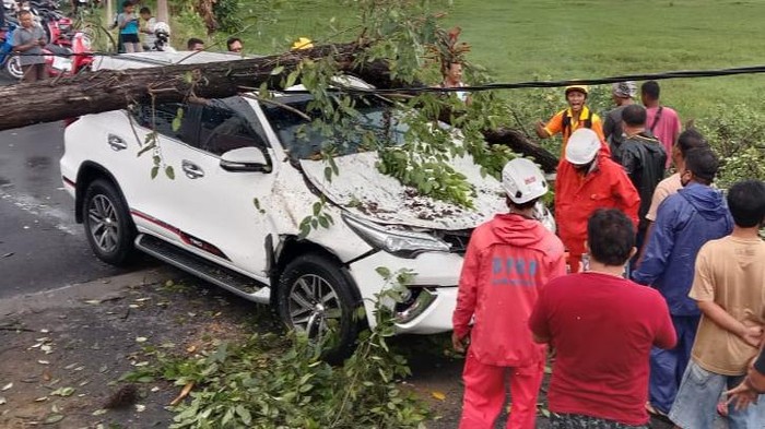 Mobil berisi delapan orang tertimpa pohon tumbang di Desa Jimbung Kecamatan Kalikotes.