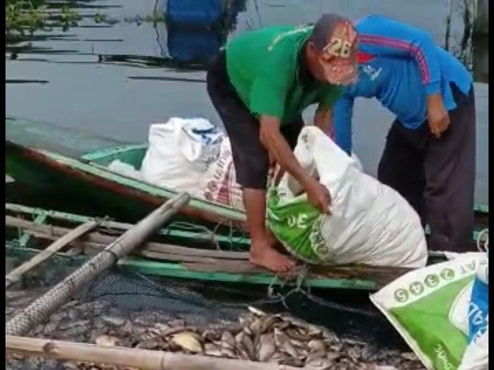 Danau Saguling Surut / Seperti biasa sy mancing di danau ...