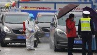 Seperti diketahui, WHO tengah melakukan penyelidikan untuk mencari informasi mengenai asal-usul virus Corona. Misi WHO ini dilakukan dengan beban politik yang berat. 