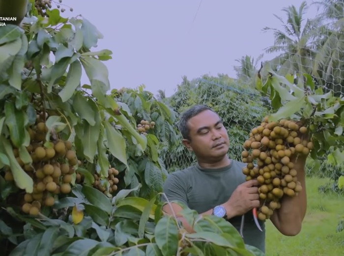 Anggota TNI Ini Sukses Jadi Petani Kelengkeng Setelah Satu Kaki Terkena Ranjau Anggota TNI Ini Sukses Jadi Petani Kelengkeng Setelah Satu Kaki Terkena Ranjau