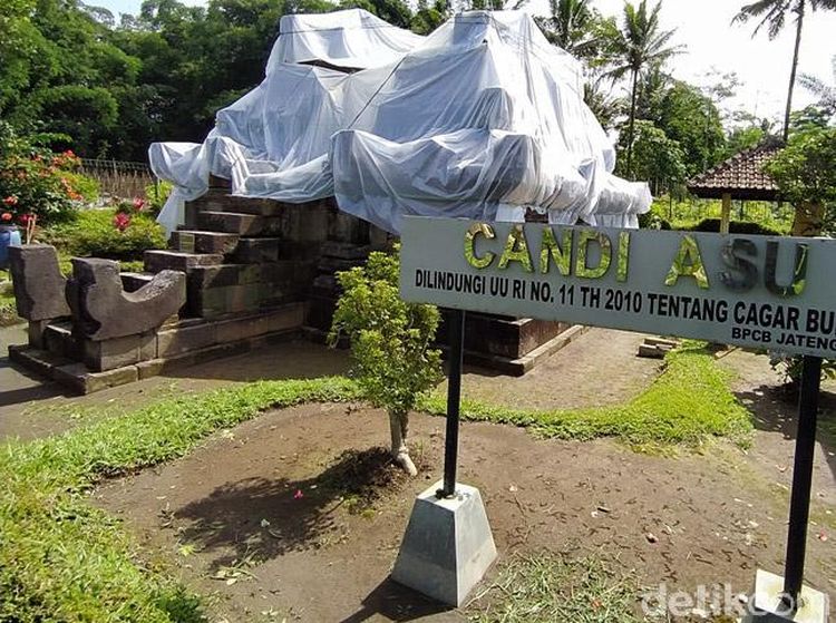 Antisipasi Hujan Abu, Candi di Lereng Merapi Ditutupi Plastik