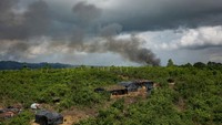 Reputasi internasional Suu Kyi tercoreng dalam beberapa tahun terakhir dengan adanya tuduhan genosida terhadap warga etnis minoritas Muslim, Rohingya. Allison Joyce/Getty Images.