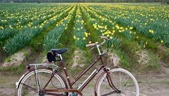 Sepeda sport merek Raleigh yang diproduksi tahun 1969. Foto: Bored Panda