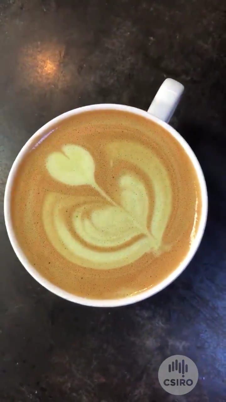 Broccolatte, Kopi dengan Tambahan Bubuk Brokoli yang Menyehatkan