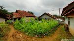 Desa Mati bak Chernobyl Ini Ada di Majalengka