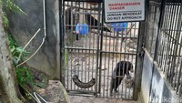 Hingga saat ini WRC Yogya merehabilitasi 152 individu satwa liar. Dengan jumlah tersebut, paling tidak membutuhkan biaya operasional sebesar Rp 100 juta per bulan.