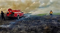 Luas Karhutla di kawasan savana Taman Nasional Rawa Aopa Watumohai terus bertambah.  