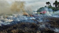 Sementara personel Manggala Agni kesulitan melakukan pemadaman api akibat angin kencang, terbatasnya jumlah personel serta sumber air yang jauh dari titik api.  