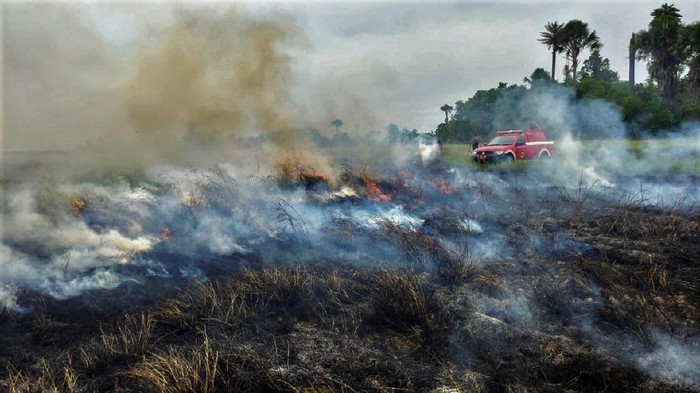 Personel Manggala Agni Daerah Operasi Sulawesi Tenggara berusaha memadamkan api yang membakar lahan di Taman Nasional Rawa Aopa Watumohai, Kabupaten Bombana, Sulawesi Tenggara, Senin  (1/2/2021). Luas Karhutla di kawasan savana Taman Nasional Rawa Aopa Watumohai terus bertambah, sementara personel Manggala Agni kesulitan melakukan pemadaman api akibat angin kencang, terbatasnya jumlah personel serta sumber air yang jauh dari titik api. ANTARA FOTO/Humas Manggala Aqni Sulawesi Tenggara/jjn/Handout/wsj.