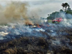 Jumlah Hotspot di Sumsel Meningkat, Waspada Karhutla!