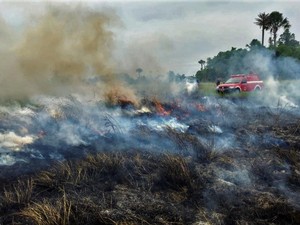 Jumlah Hotspot di Sumsel Meningkat, Waspada Karhutla!