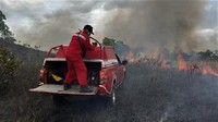 Api melalap habis lahan blok Hutan Lampopala kawasan pengelolaan TNRAW Wilayah II dan sekitarnya.   
