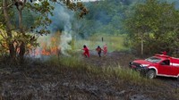 Kepala Taman Nasional Rawa Aopa Watumohai, Ali Bahri mengatakan kebakaran awalnya terjadi sejak 25-27 Januari. Saat itu lahan terbakar seluas 12 hektare.  