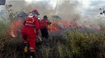 Miris! 17,5 Ha Lahan Taman Nasional di Sulteng Terbakar