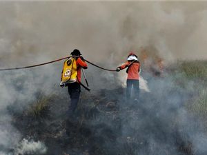 Sumsel Tetapkan Siaga Darurat Karhutla, 10 Daerah Ini Jadi Prioritas
