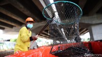 Sebelum mengunakan metode bioflok, Harun memelihara ikan lele di saluran air.