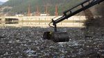 Lautan Sampah Padati Danau di Serbia