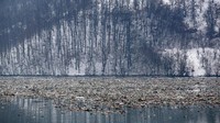 Pengelolaan sampah dan pelestarian lingkungan nampaknya belum menjadi perhatian utama bagi negara-negara di kawasan Balkan yang mencoba bangkit dari keterpurukan ekonomi akibat peperangan di 1990-an. AP Photo/Darko Vojinovic  