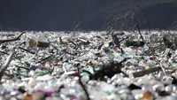 Beragam macam sampah terlihat memadati Danau Potpec di Priboj, Serbia. AP Photo/Dragan Karadarevic  