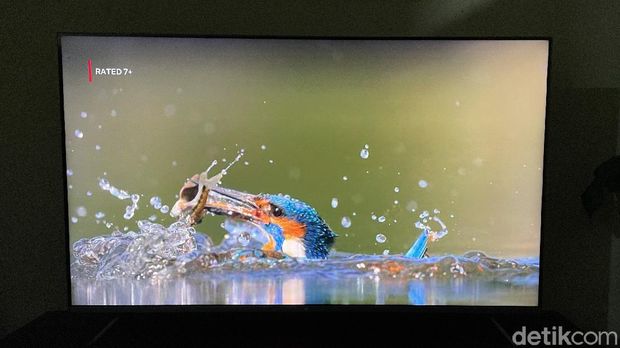 Mi TV 55