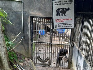 Pusat Rehabilitasi Satwa Liar WRC Yogya Terancam Tutup Gegara Pandemi