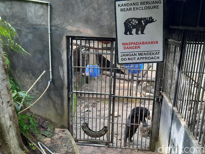 Pusat rehabilitasi satwa liar Wildlife Rescue Centre (WRC) Yogyakarta di Kulon Progo, Senin (1/2/2021).