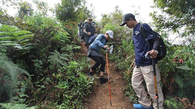 Whatravel Sentul