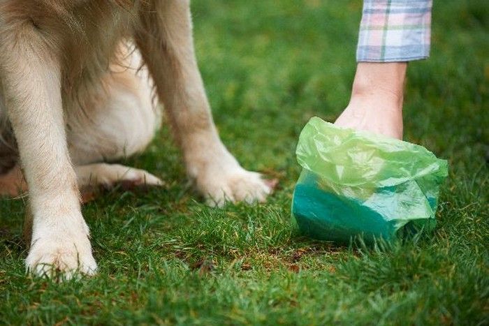 Di 5 Negara Ini Sampah Bisa Ditukar Sayur dan Beras