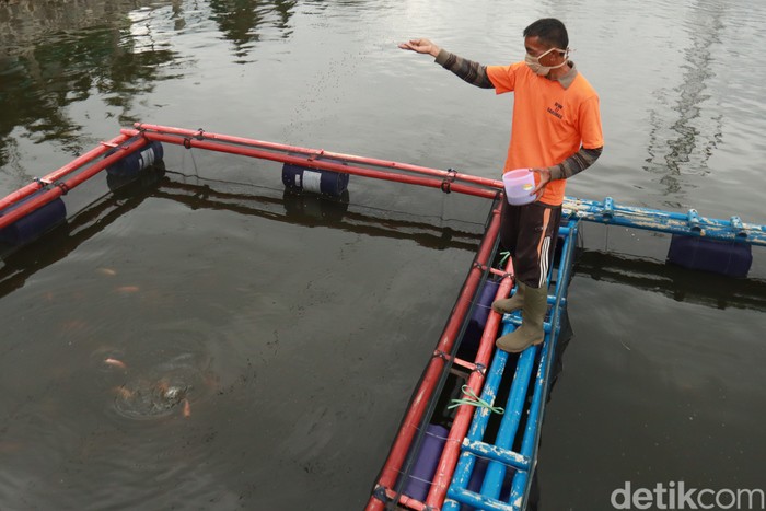 Kreatifnya Warga Bandung, Sulap Kolam Retensi untuk Budidaya Ikan dan Wisata