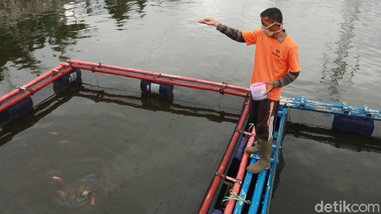 Kreatifnya Warga Bandung, Sulap Kolam Retensi untuk Budidaya Ikan dan Wisata Kreatifnya Warga Bandung, Sulap Kolam Retensi untuk Budidaya Ikan dan Wisata