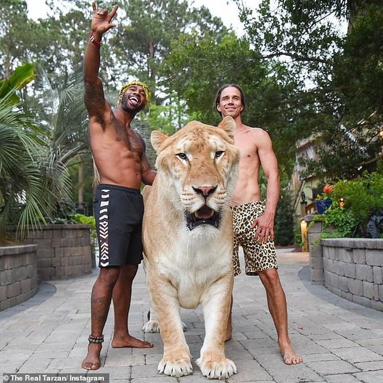 Liger
