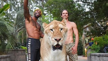 Ini juga Liger yang dikembangkan di South Carolina, Amerika Serikat, oleh penyayang binatang Mike Holston dan Kody Antle. Ia dinamakan Apollo. Foto: Instagram