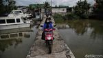 Nyata! Ancaman Abrasi di Pantai Jawa dan Sumatera
