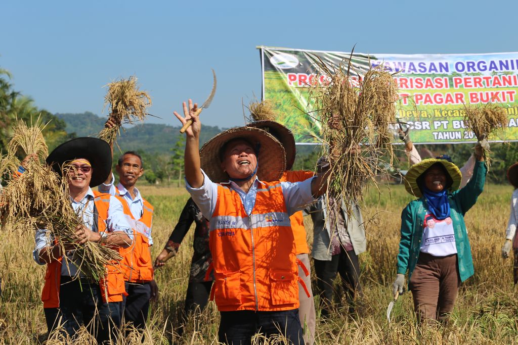 Program CSR “Pagar Dewa” PTBA   (Dok. PTBA)