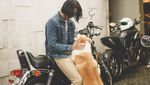 Intip Gaya Sunmori Raffi Ahmad dan Gading Marten Naik Motor Gede