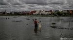 Nasib Tragis TPU Semper, Terancam Hilang Gegara Banjir Rob