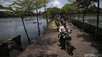Nasib Tragis TPU Semper, Terancam Hilang Gegara Banjir Rob