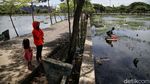 Nasib Tragis TPU Semper, Terancam Hilang Gegara Banjir Rob