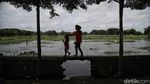 Nasib Tragis TPU Semper, Terancam Hilang Gegara Banjir Rob