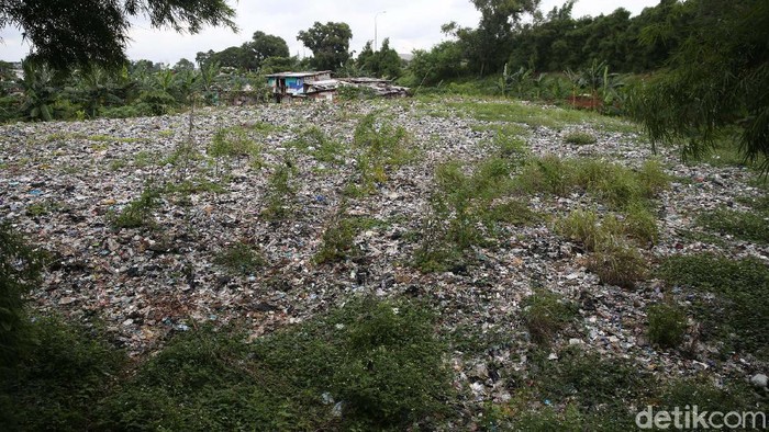 Hamparan sampah seluas lapangan sepakbola di Bekasi belum diangkut juga. Padahal Wali Kota Bekasi telah memerintahkan jajarannya untuk mengangkutnya.