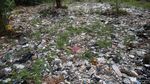 Waduh! Sampah Selapangan Bola di Bekasi Belum Juga Diangkut