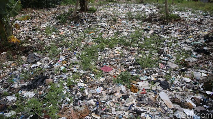 Waduh! Sampah Selapangan Bola di Bekasi Belum Juga Diangkut Hamparan sampah seluas lapangan sepakbola di Bekasi belum diangkut juga. Padahal Wali Kota Bekasi telah memerintahkan jajarannya untuk mengangkutnya.