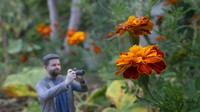 Cetak 3D di Dunia Miniatur