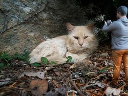 Super Kreatif! Fotografer Motret Diri Sendiri di Dunia Miniatur