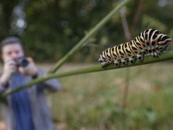 Super Kreatif! Fotografer Motret Diri Sendiri di Dunia Miniatur