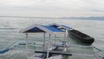 Ada Cinta di Pantai Tanjung Karang, Sulawesi Tengah