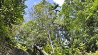 untuk menuju ke lokasi air terjun, kita harus menuruni tangga