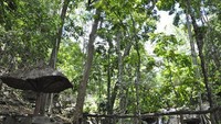 Lokasi sangat cocok buat rekreasi keluarga